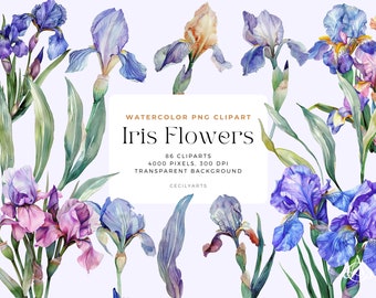Aquarell Iris Blumen Cliparts PNG, Aquarell Blumen Clipart Blumensträuße, Elemente, kommerzielle Nutzung, digitale Clipart PNG