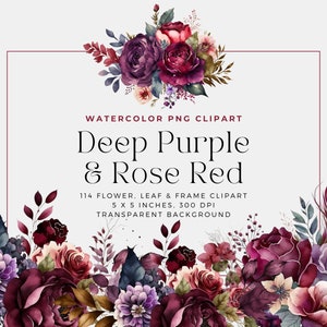 Deep Purple and Rose Red Flowers PNG, Watercolor Floral Clipart ...