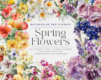 123 Frühlingsblumen PNG, Aquarell Blumen Clipart Blumensträuße, Elemente, kommerzielle Nutzung, digitale Clipart PNG