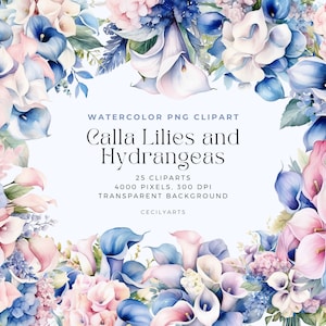 Könnte beinhalten: Aquarell-Clipart-Set mit blauen und rosa Calla-Lilien und Hortensien. 25 Clipart-Bilder, 4000 Pixel, 300 DPI, transparenter Hintergrund. Der Text "Calla Lilies and Hydrangeas" ist im Bild enthalten.