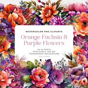 May include: Watercolor PNG clipart set of 80 orange, fuchsia, and purple flowers. The flowers are arranged in a bouquet and have a watercolor effect. The background is transparent.