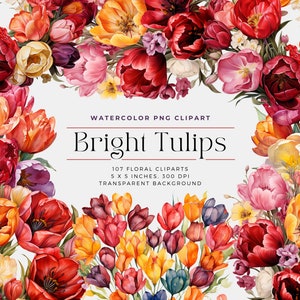 Heldere aquarel tulpen bloemen PNG, aquarel bloemen clipart boeketten, elementen, commercieel gebruik, digitale clipart PNG