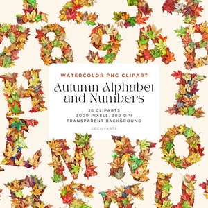 Alfabeto e números de outono, alfabeto PNG, alfabeto floral A - Z clipart, letras de casamento, pacote de clipart de alfabeto de outono e outono
