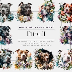Watercolor Pitbull Clipart, Pitbul with flower clipart, pit bull watercolor portrait, American Pit Bull Terrier clipart, commercial use