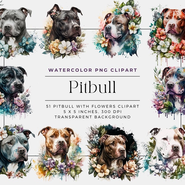 Watercolor Pitbull Clipart, Pitbul with flower clipart, pit bull watercolor portrait, American Pit Bull Terrier clipart, commercial use