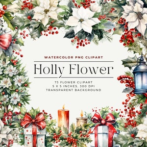 Holly Flowers PNG, Watercolor Holly Clipart - winter botanical, Watercolor Floral Clipart Bouquets, Commercial Use, Digital clipart PNG