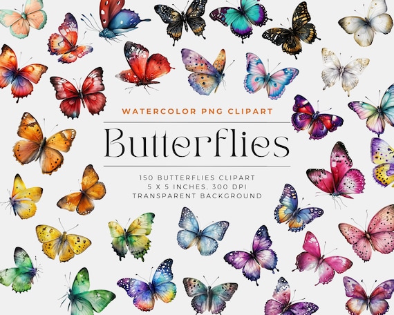 Colorful Butterflies, Butterfly Clipart PNG, Watercolor Butterfly Clipart, Butterfly Bundle Illustrations, Commercial License