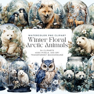 Tiere der Arktis Aquarell Cliparts, Polar Tiere, Nordpol Tiere, Winterwald Tiere, Kommerzielle Lizenz