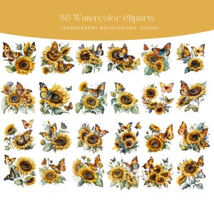 May include: 38 watercolour clipart images of sunflowers and butterflies. The sunflowers are yellow with brown centres and green leaves. The butterflies are orange, brown, and black. The background is transparent.