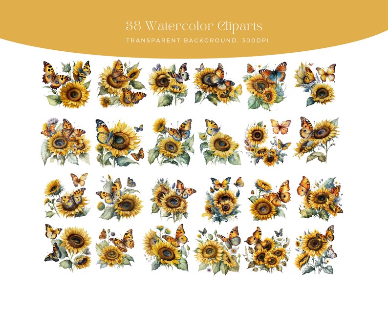 May include: 38 watercolour clipart images of sunflowers and butterflies. The sunflowers are yellow with brown centres and green leaves. The butterflies are orange, brown, and black. The background is transparent.