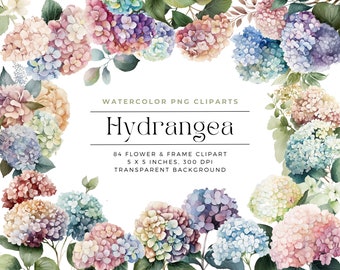 May include: A collection of 84 watercolor PNG clipart images of hydrangeas in various shades of pink, blue, and white. The images are 5 inches by 5 inches and 300 DPI with a transparent background.