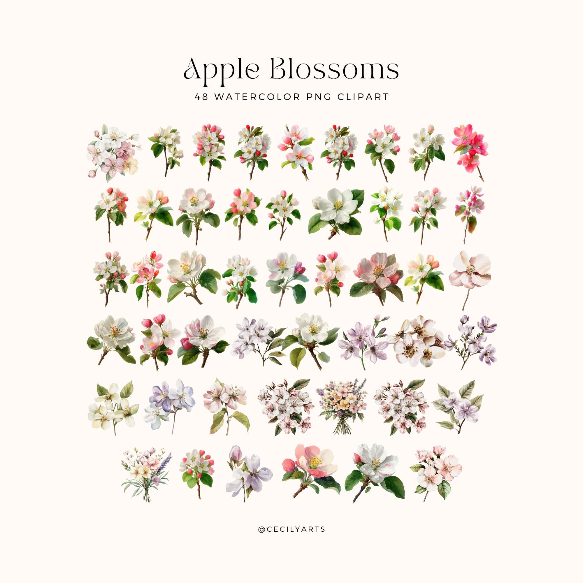 Watercolor Apple Blossom Clipart: Spring Floral PNG Elements (digital ...
