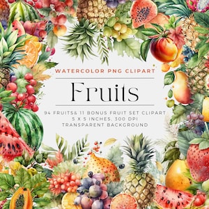 Fruit PNG, aquarel fruit clipart boeketten, elementen, commercieel gebruik, digitale clipart PNG