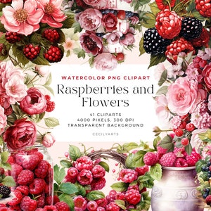Puede incluir: Conjunto de clipart de acuarela de 41 imágenes con rosas rosadas y rojas, frambuesas y hojas. Las imágenes tienen un fondo transparente y son de 4000 píxeles por 300 DPI. El texto "Watercolor PNG Clipart Raspberries and Flowers 41 Cliparts 4000 Pixels. 300 DPI Transparent Background Cecilyarts" está incluido en la imagen.