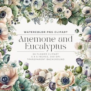 Anemone and Eucalyptus Flowers PNG, Watercolor Floral Clipart Bouquets, Elements, Commercial Use, Digital clipart PNG