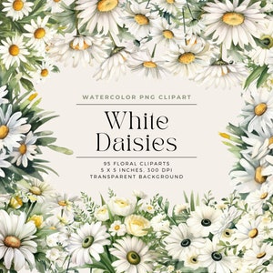 Watercolor Daisies Clipart, Watercolor Floral Clipart Bouquets, Elements, Commercial Use, Digital clipart PNG