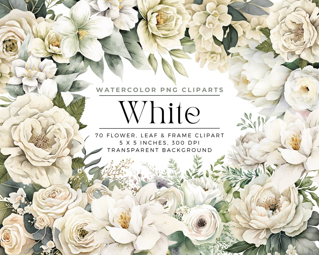 White Flowers PNG, Watercolor Floral Clipart Bouquets, Elements ...