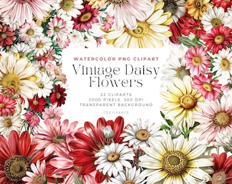 Vintage Daisy Clipart: Watercolor Floral PNGs (Digital Download