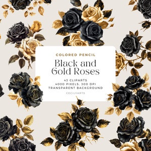 Schwarz, weiß und Gold Blumen PNG, Buntstift Blumen Clipart Blumensträuße, Elemente, kommerzielle Nutzung, digitale Clipart PNG