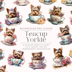 Yorkshire Terrier, Yorkie Floral Teacup Clipart, Floral Teacup, Teacup PNG, Yorkie, Dog PNG Clipart Commercial License