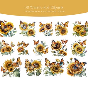 May include: 38 watercolour clipart images of sunflowers and butterflies. The sunflowers are yellow with brown centres and green leaves. The butterflies are orange, brown, and black with white spots. The background is transparent.