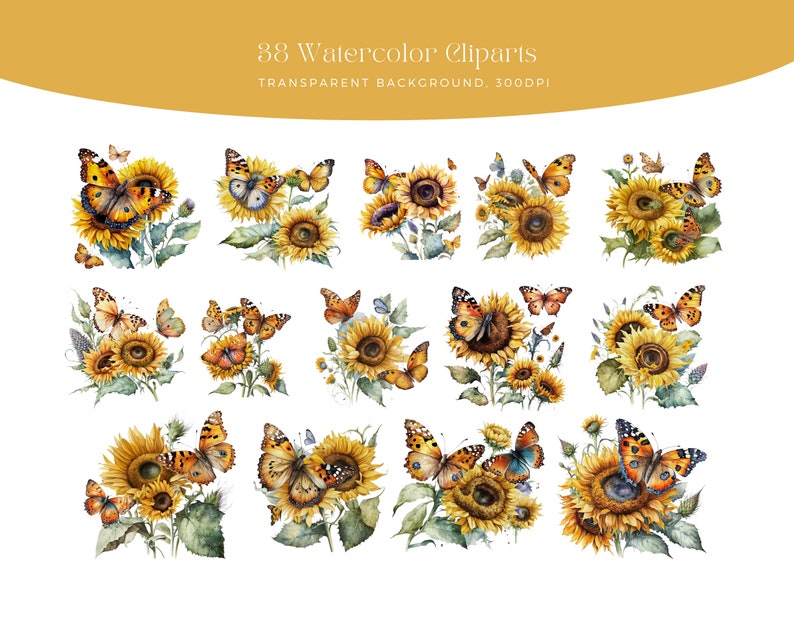 May include: 38 watercolour clipart images of sunflowers and butterflies. The sunflowers are yellow with brown centres and green leaves. The butterflies are orange, brown, and black with white spots. The background is transparent.