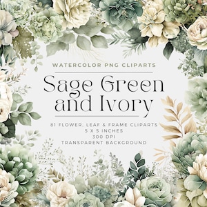 Saliegroen en ivoor bloemen png, aquarel bloemen clipart boeketten, elementen, commercieel gebruik, digitale clipart png