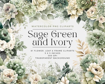 Sage Green and Ivory Flowers PNG, Watercolor Floral Clipart Bouquets, Elements, Commercial Use, Digital clipart PNG