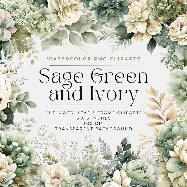 Sage Green and Ivory Flowers PNG, Watercolor Floral Clipart Bouquets, Elements, Commercial Use, Digital clipart PNG