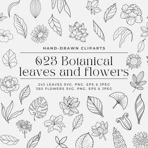 623 Botanical Leaves and Flower Svg Bundle | Flower Svg |Botanical clipart |Flower Clipart |floral leaves svg | Commercial use included