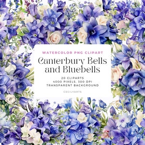 Canterbury Bells and Bluebells PNG, Watercolor Floral Clipart Bouquets, Elements, Commercial Use, Digital clipart PNG