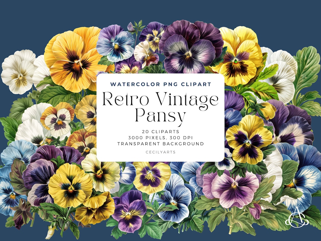 Organic cotton t-shirt - PANSY FANTASY retro - Retro pansy print main image 0