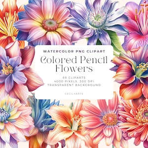 May include: A collection of colorful flowers drawn with colored pencils. The flowers are in shades of pink, red, blue, yellow, and orange. The image is labeled "Watercolor PNG Clipart Colored Pencil Flowers 88 Cliparts 4000 Pixels, 300 DPI Transparent Background Cecilyarts".