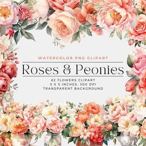 Roses and Peonies Flowers PNG, Watercolor Floral Clipart Bouquets, Elements, Commercial Use, Digital clipart PNG