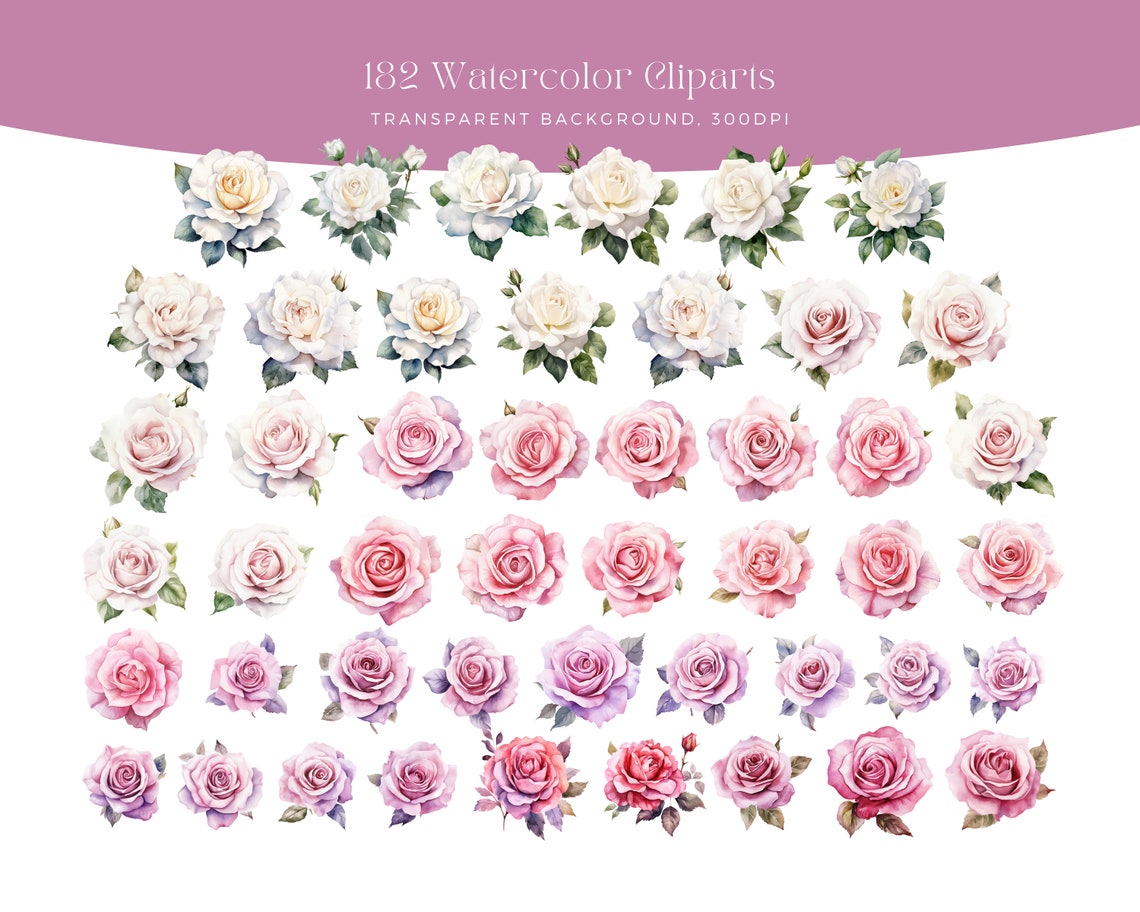 Pink Roses Flowers PNG, Watercolor Floral Clipart Bouquets, Elements ...