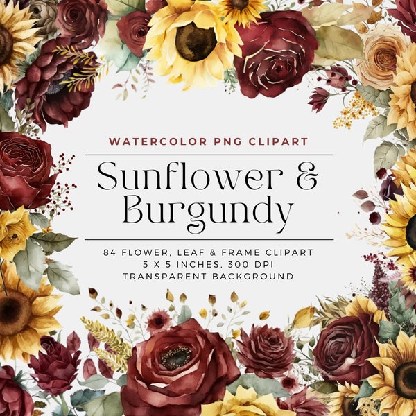 Sunflower and Burgundy, Watercolor Sunflowers with Burgundy Flowers, Commercial Use, Digital clipart PNG