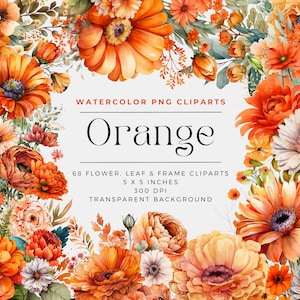 68 oranje bloemen PNG, aquarel bloemen clipart boeketten, elementen, commercieel gebruik, digitale clipart PNG