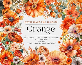 68 Orange Flowers PNG, Watercolor Floral Clipart Bouquets, Elements, Commercial Use, Digital clipart PNG