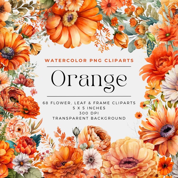 68 Orange Flowers PNG, Watercolor Floral Clipart Bouquets, Elements, Commercial Use, Digital clipart PNG