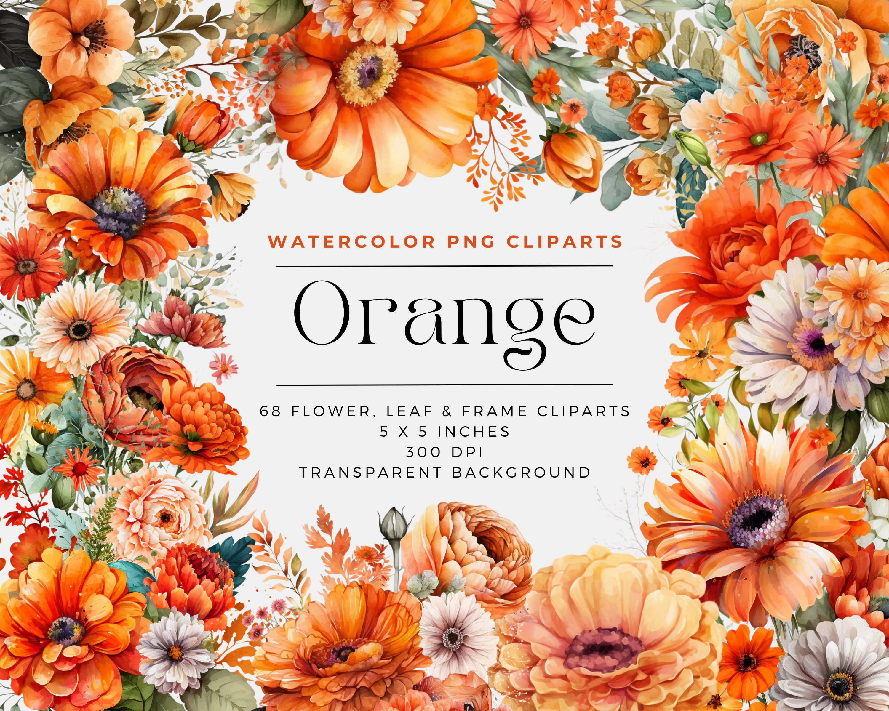 68 Orange Flowers PNG, Watercolor Floral Clipart Bouquets