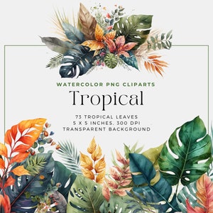 Tropische bladeren PNG, aquarel bloemen clipart boeketten, elementen, commercieel gebruik, digitale clipart png