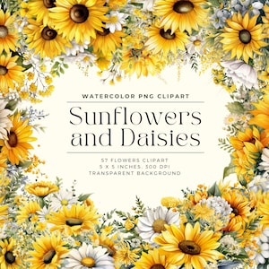 Sunflower and Daisies Flowers PNG, Watercolor Floral Clipart Bouquets, Elements, Commercial Use, Digital clipart PNG