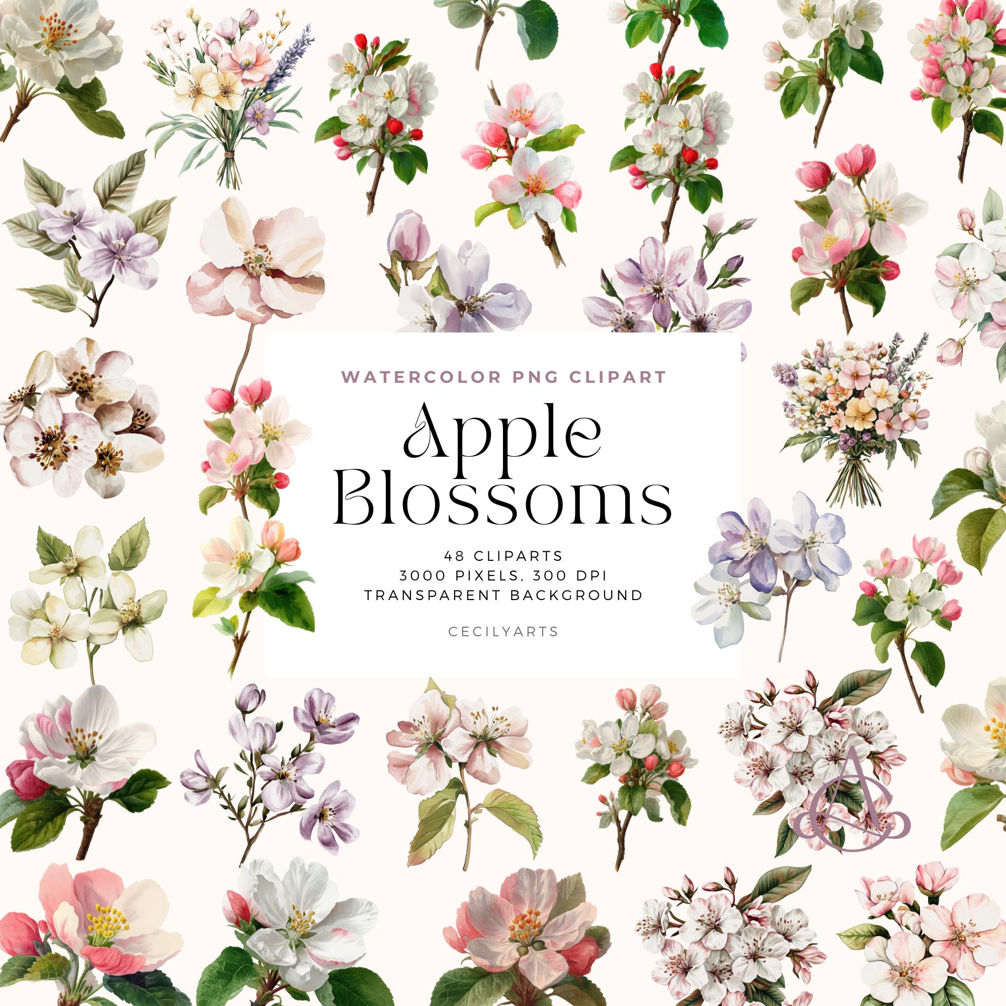 Watercolor Apple Blossom Clipart: Spring Floral PNG Elements (digital ...