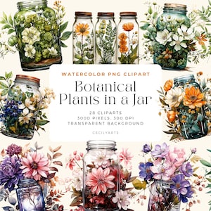 Botanical Plants in a Jar Cliparts, Colored Pencil Floral Clipart Bouquets, Elements, Commercial Use, Digital clipart PNG