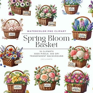春の花のバスケットコレクション、水彩花のクリップアートブーケ、要素、商用利用、デジタルクリップアートPNG
