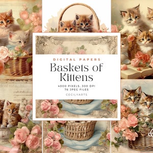 May include: Digital paper set titled "Baskets of Kittens" featuring watercolor illustrations of kittens in baskets surrounded by pink roses. The image includes text that reads "DIGITAL PAPERS" and "4000 PIXELS, 300 DPI, 76 JPEG FILES".