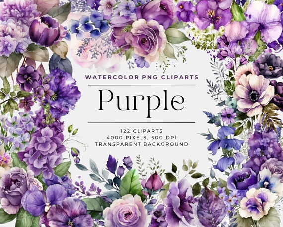 112 Purple Flowers PNG, Watercolor Floral Clipart Bouquets, Elements, Commercial Use, Digital clipart PNG