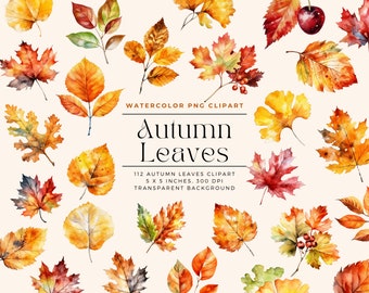 Watercolor Autumn Leaves Clipart, Autumn Clipart, Autumn Leaves, Watercolor Fall leaves, Fall Clipart, Commercial License