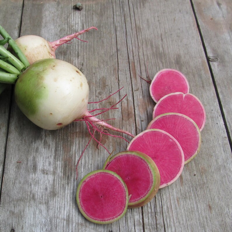 250 Watermelon Radish Seeds Mix Heirloom NON-GMO Open Pollinated Vegetable Garden Seeds