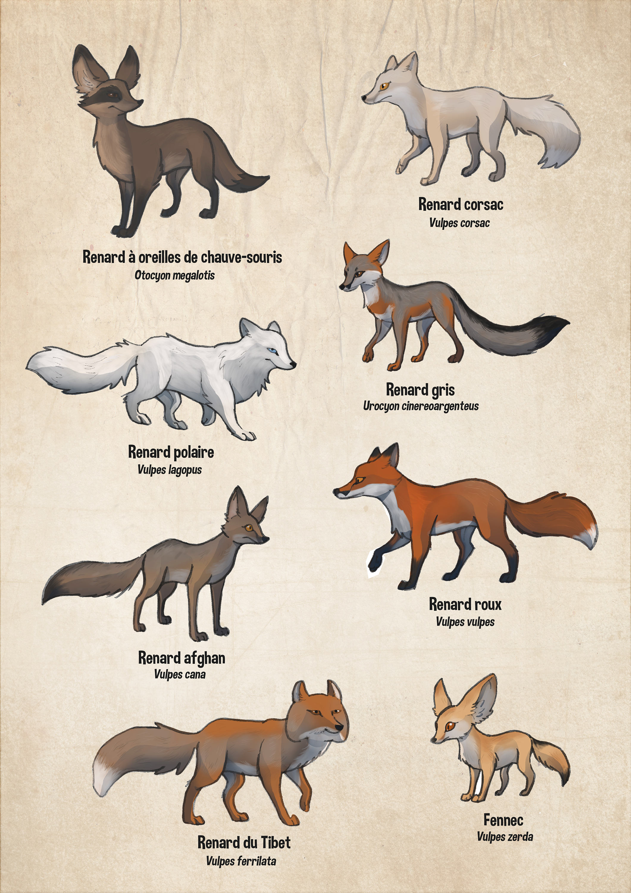 Foxes Etsy